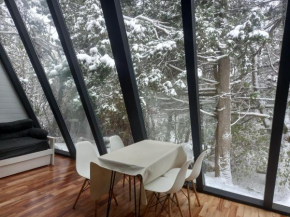 Casa inmersa en el Bosque